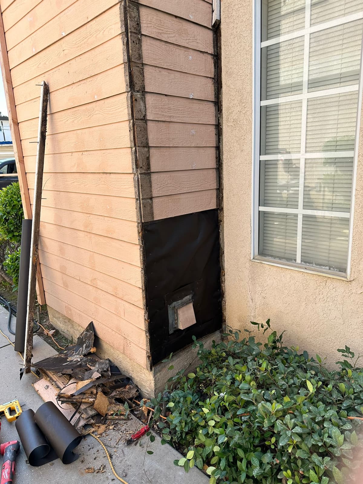 Side panel repair Pasadena painting